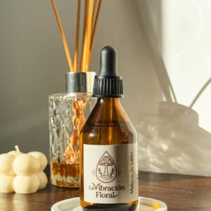 Melena de Leon Adaptógenos