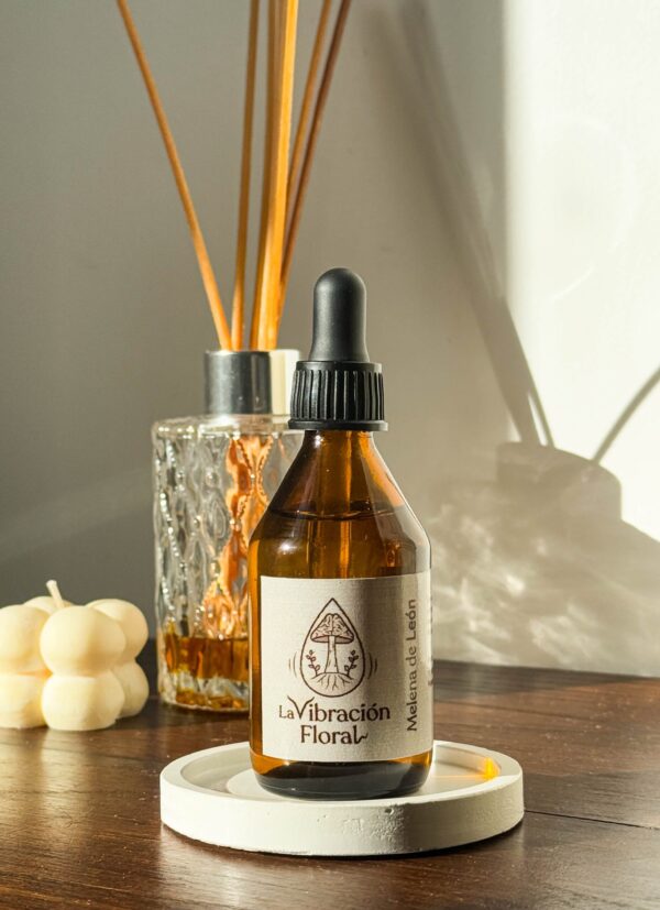 Melena de Leon Adaptógenos