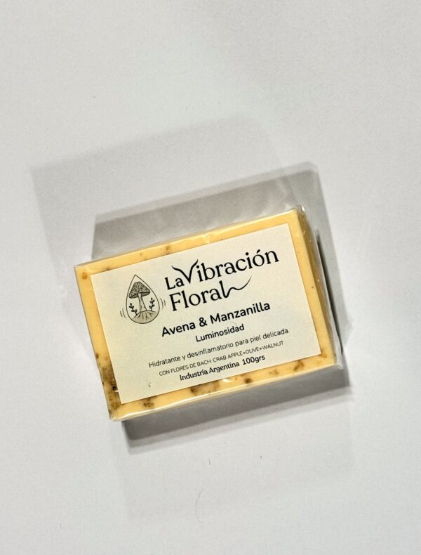 IMG_2751 Jabón Artesanal 100grs