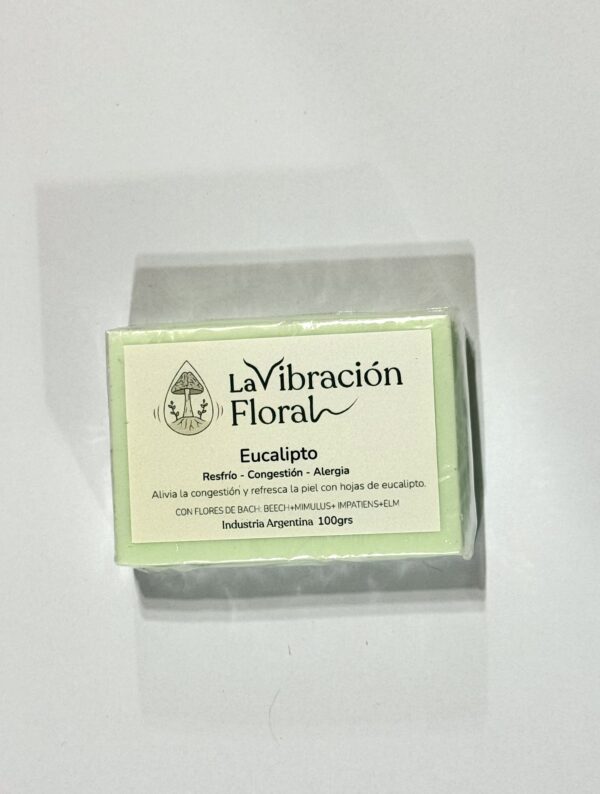 IMG_2752 Jabón Artesanal 100grs