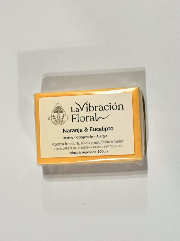 IMG_2758 Jabón Artesanal 100grs