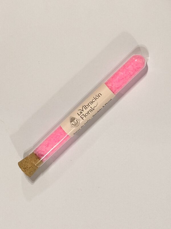 IMG_2775 Sales de Baño