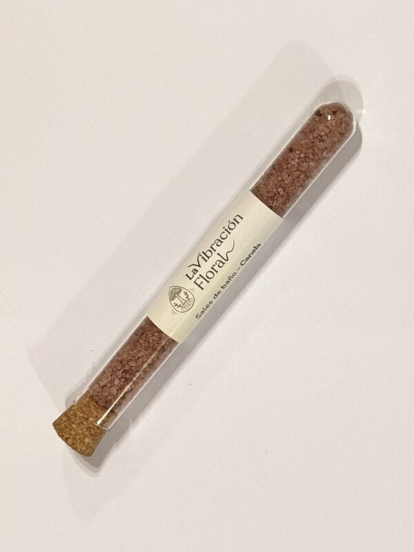 IMG_2779 Sales de Baño