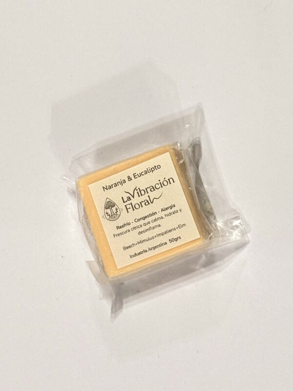 IMG_2786 Jabón Artesanal 50grs