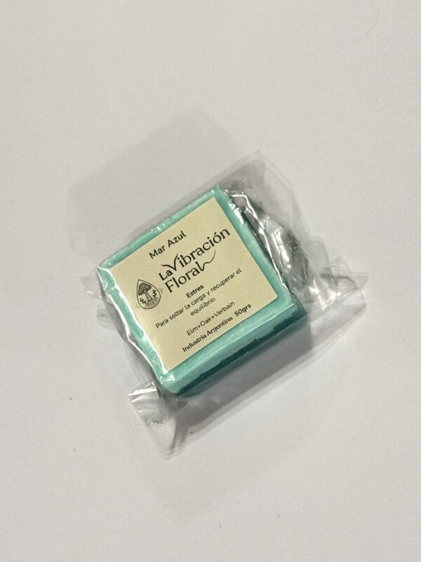 IMG_2791 Jabón Artesanal 50grs