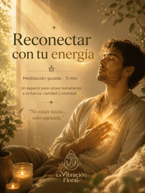 Reconectar con tu energía