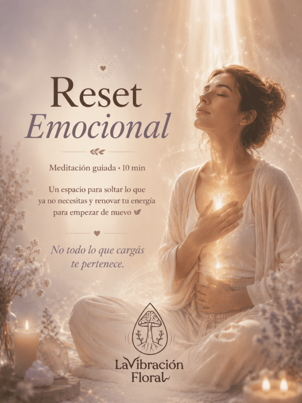 Reset Emocional