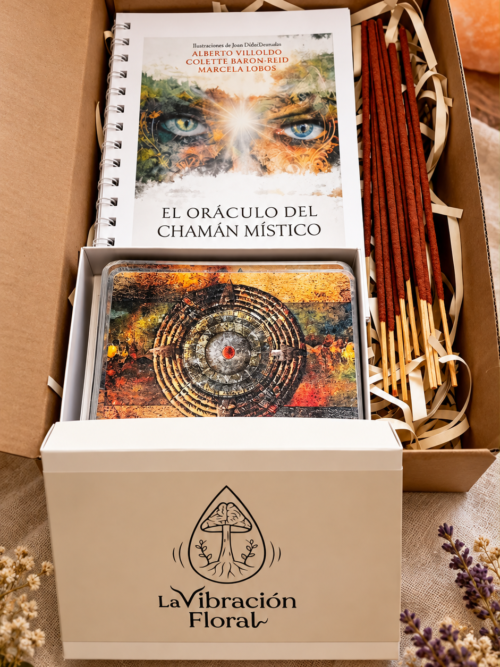 Oraculo del Chaman Mistico